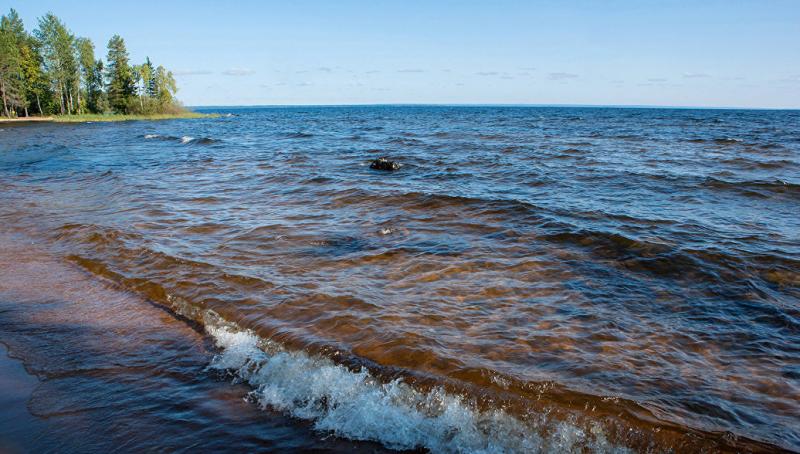 Водами онеги. Шальский Онежское озеро. Берег Онежского озера. Онежское озеро Медвежьегорск. Пухтинский пляж Онежское озеро.