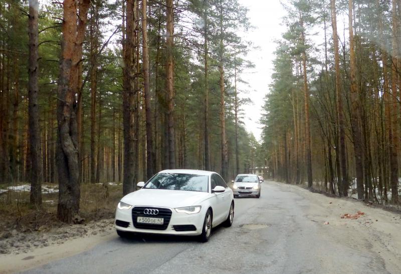 Автобусные страдания
