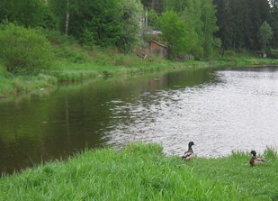 Защитим наш город от